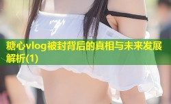 糖心vlog被封背后的真相与未来发展解析(1)