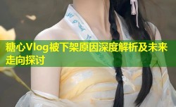 糖心Vlog被下架原因深度解析及未来走向探讨