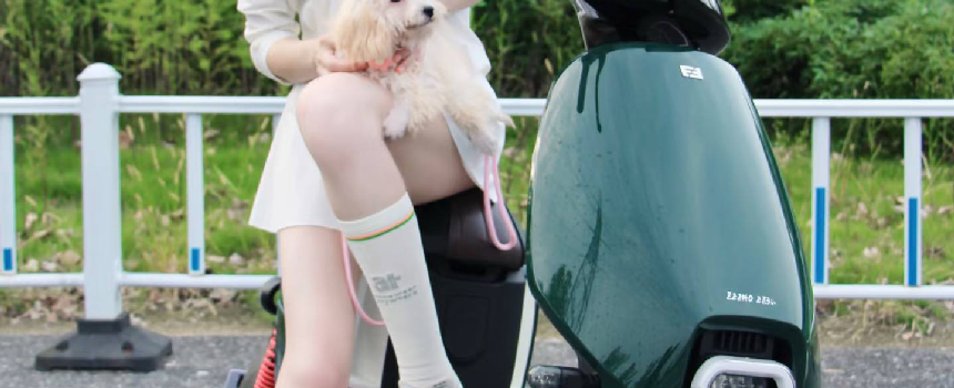 关于我们 关于txvlog糖心官网在线平台 第1张