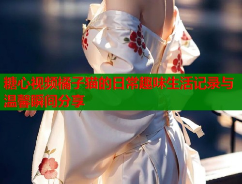 糖心视频橘子猫的日常趣味生活记录与温馨瞬间分享 第1张 糖心视频橘子猫的日常趣味生活记录与温馨瞬间分享 第1张